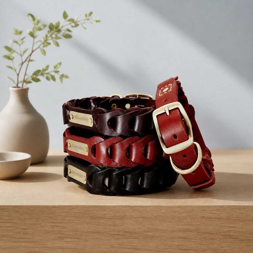 Braided leather dog collars with engraved brass nameplates on a light oak table
