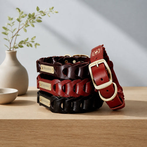 Braided leather dog collars with engraved brass nameplates on a light oak table