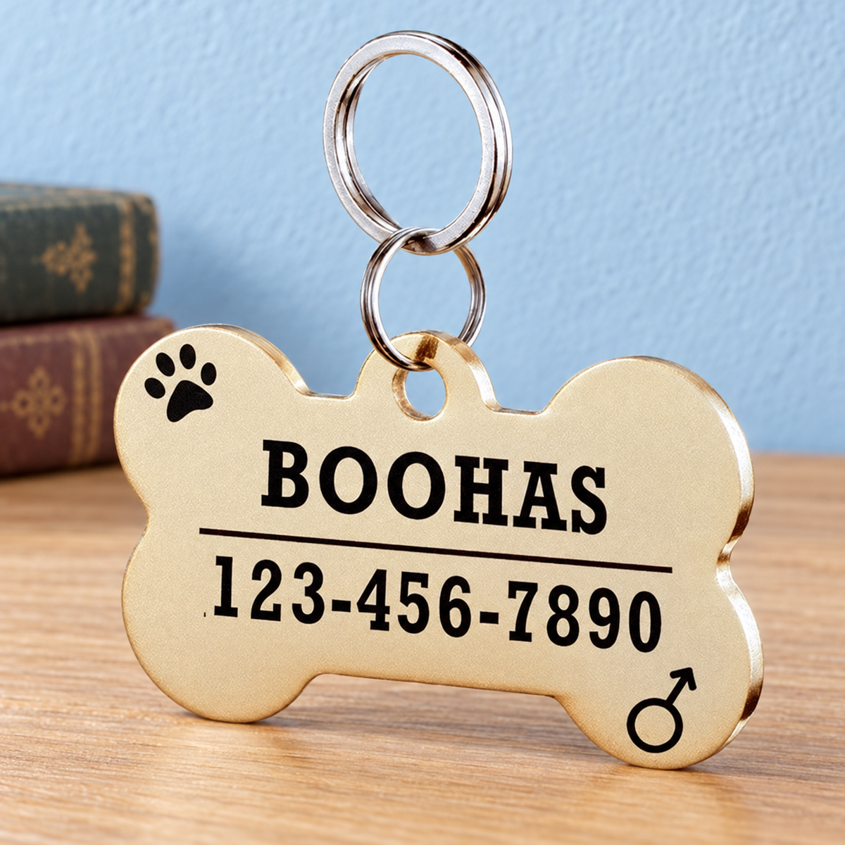 Gold classic bone engraved pet ID tag on light oak with pale blue wall