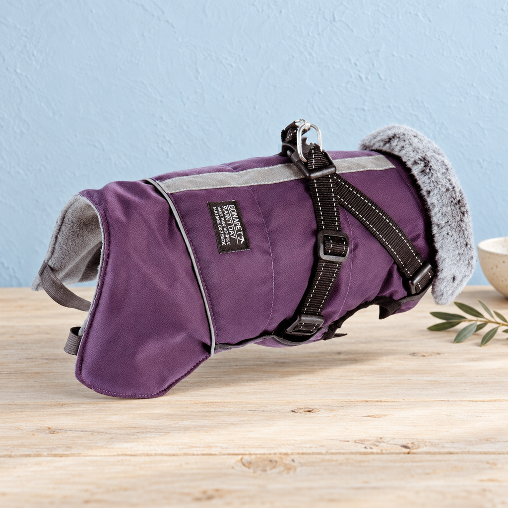 Purple Huntsman waterproof dog jacket on pale timber against a powder-blue backdrop
